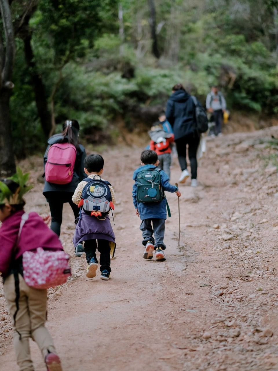我的徒步日记|儿童徒步丨森林远足 98这是有关孩子们徒步登山和远足