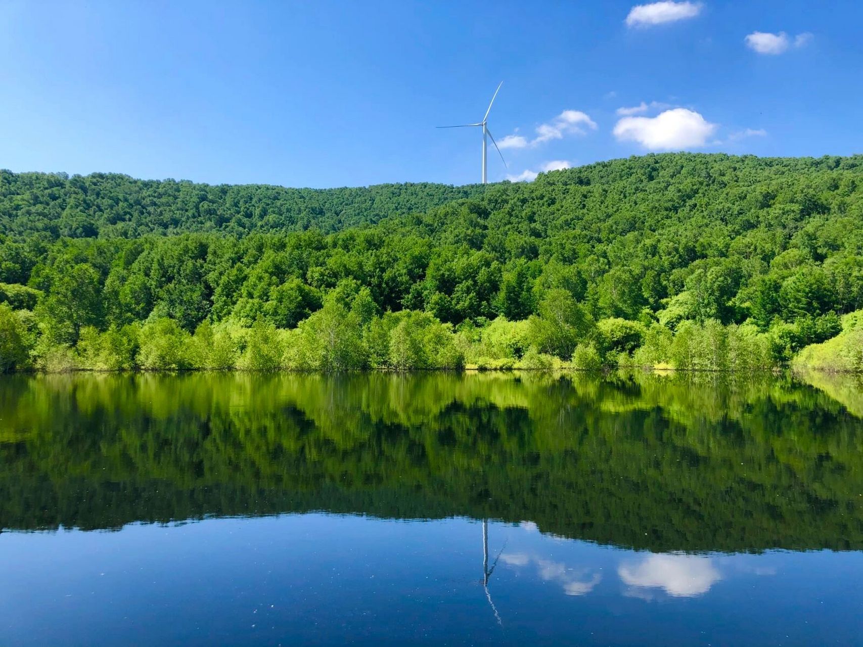 丰宁坝上七彩森林攻略 解决焦虑最好的办法就是出去玩90 这个夏天总