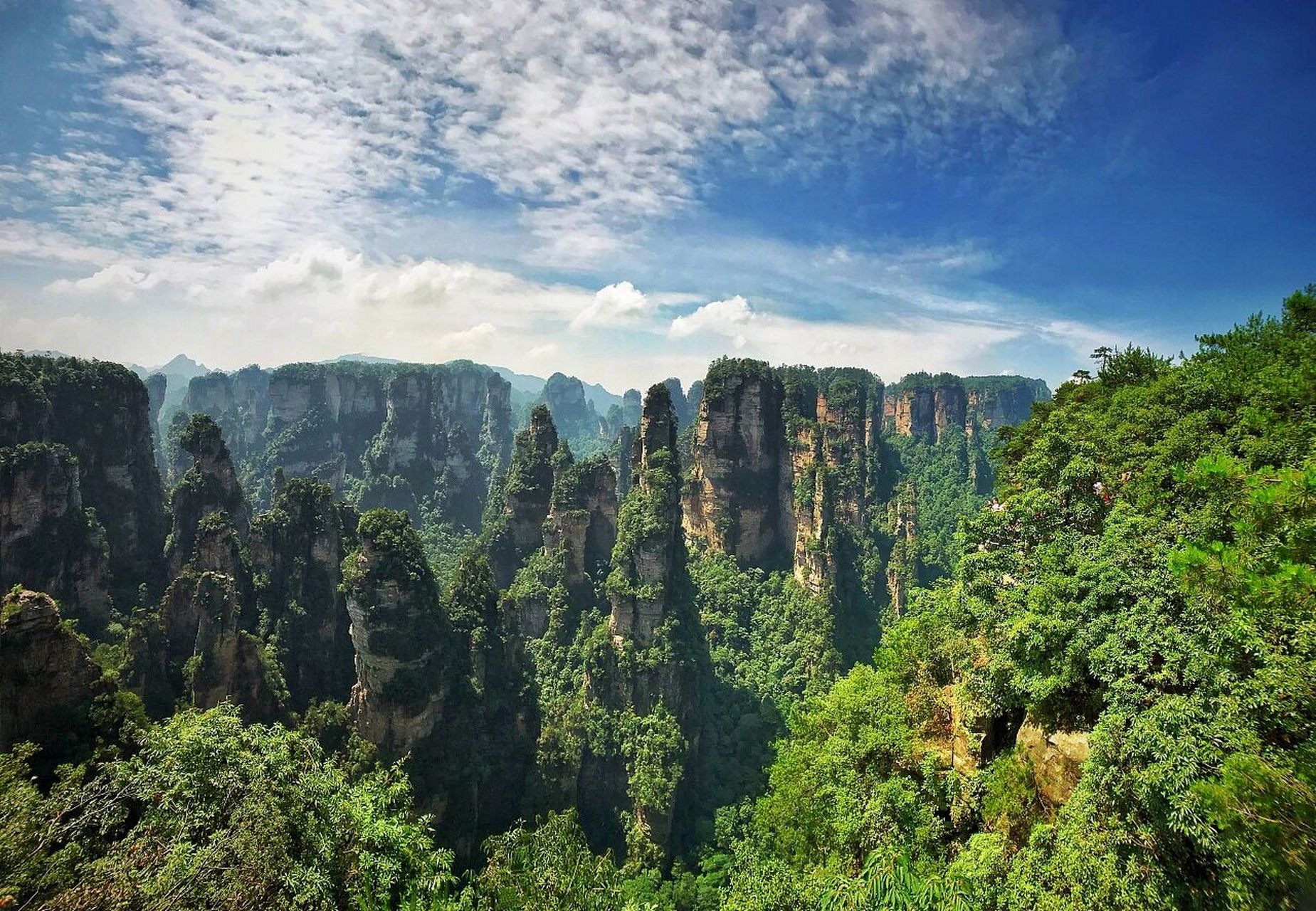 张家界森林公园经典路线两日游攻略✨ 张家界森林公园🏞,5a级景区