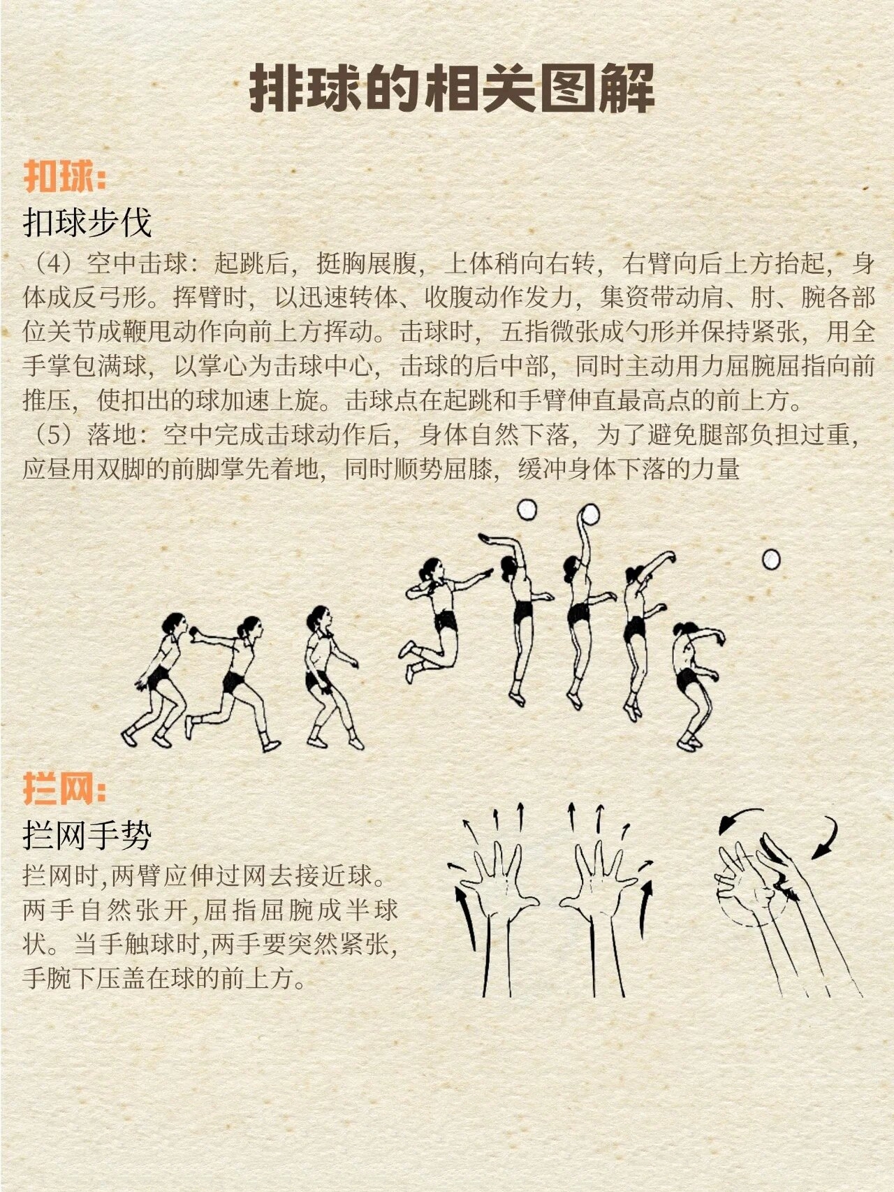 排球的相关图解