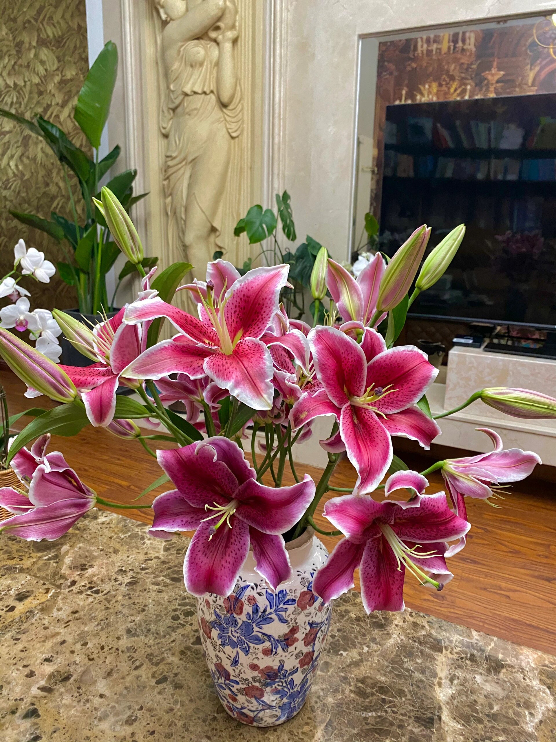 卡瓦娜(黑美人百合) 94黑美人百合·卡瓦娜 卡瓦娜百合颜色呈朱红色