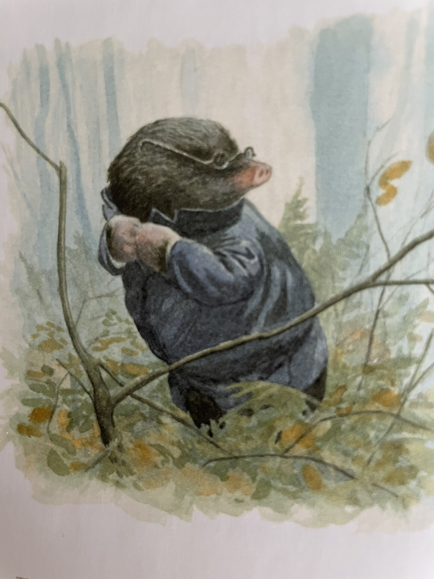 好书推荐:《柳林风声》爱与友谊可抵世间万难