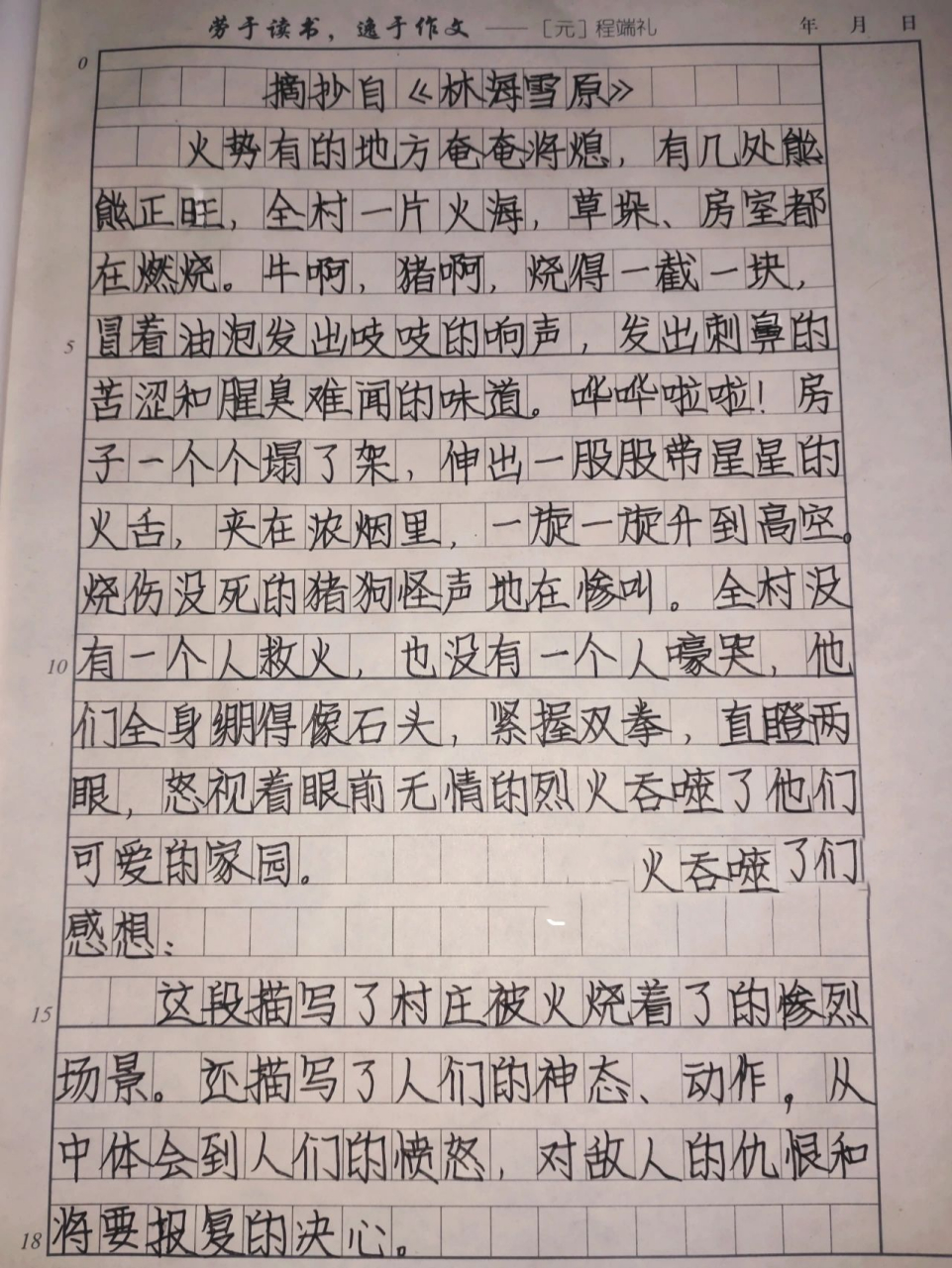 《林海雪原》摘抄 感想 摘抄 感想:300字