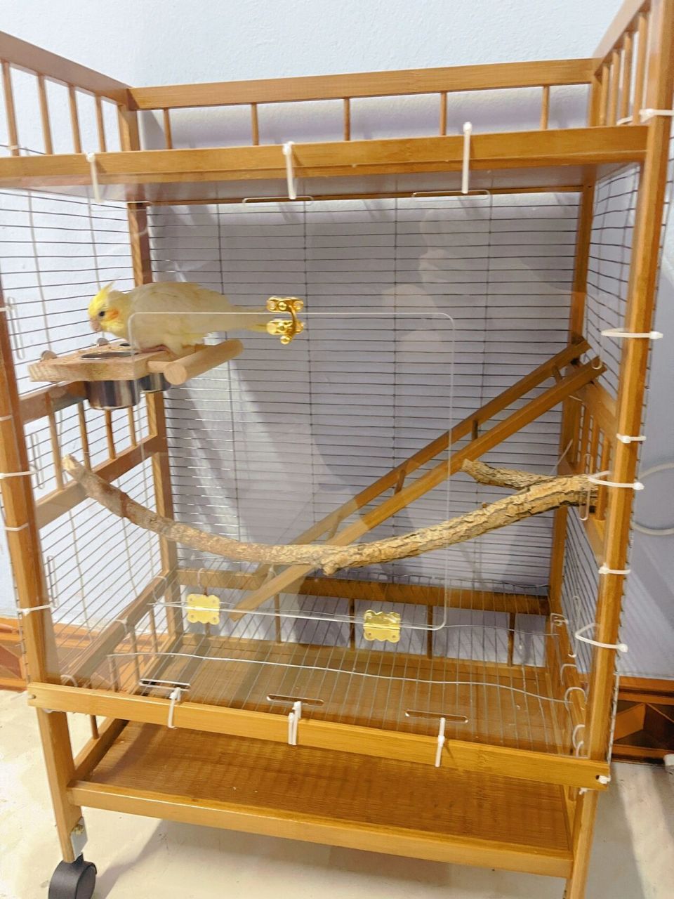 自制鸟笼, 梯子是鞋架的围栏改造的,树枝是捡的,一共花费一百多,第一
