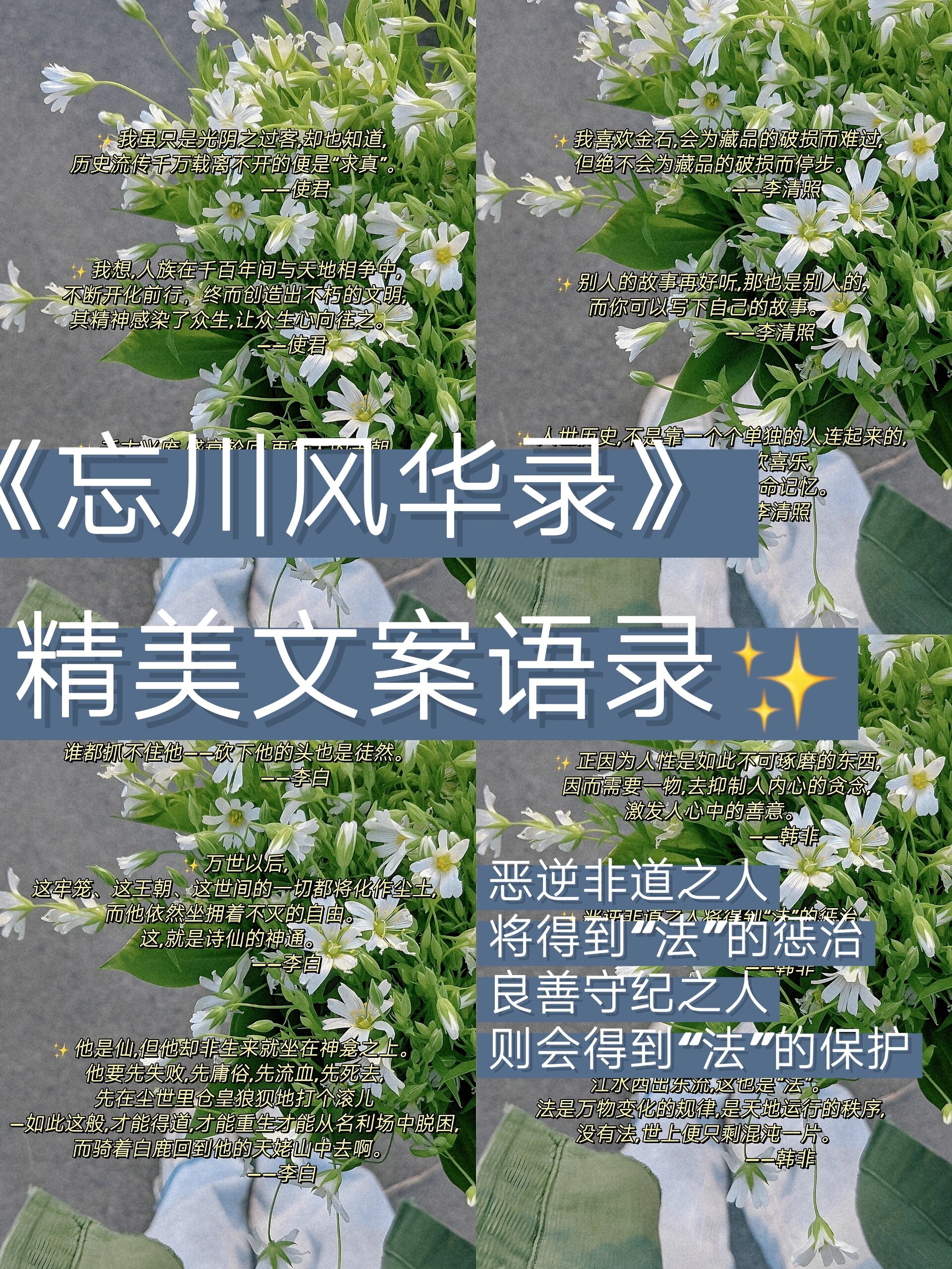 忘川语录图片