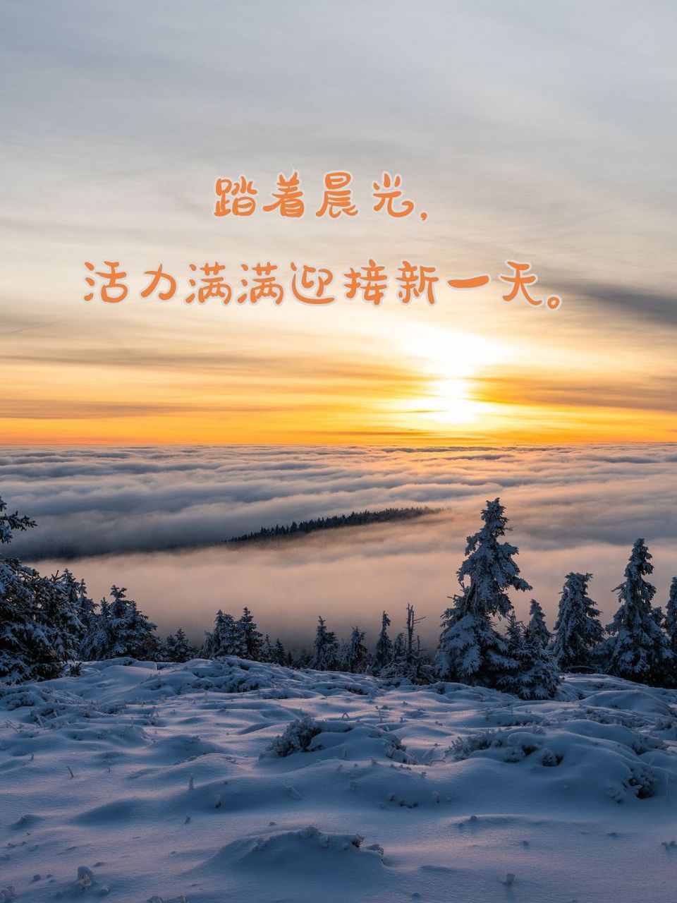 97 一缕阳光轻轻唤醒,美好的一天开始了.