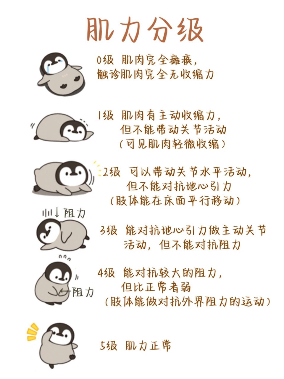 医学生笔记——肌力分级94