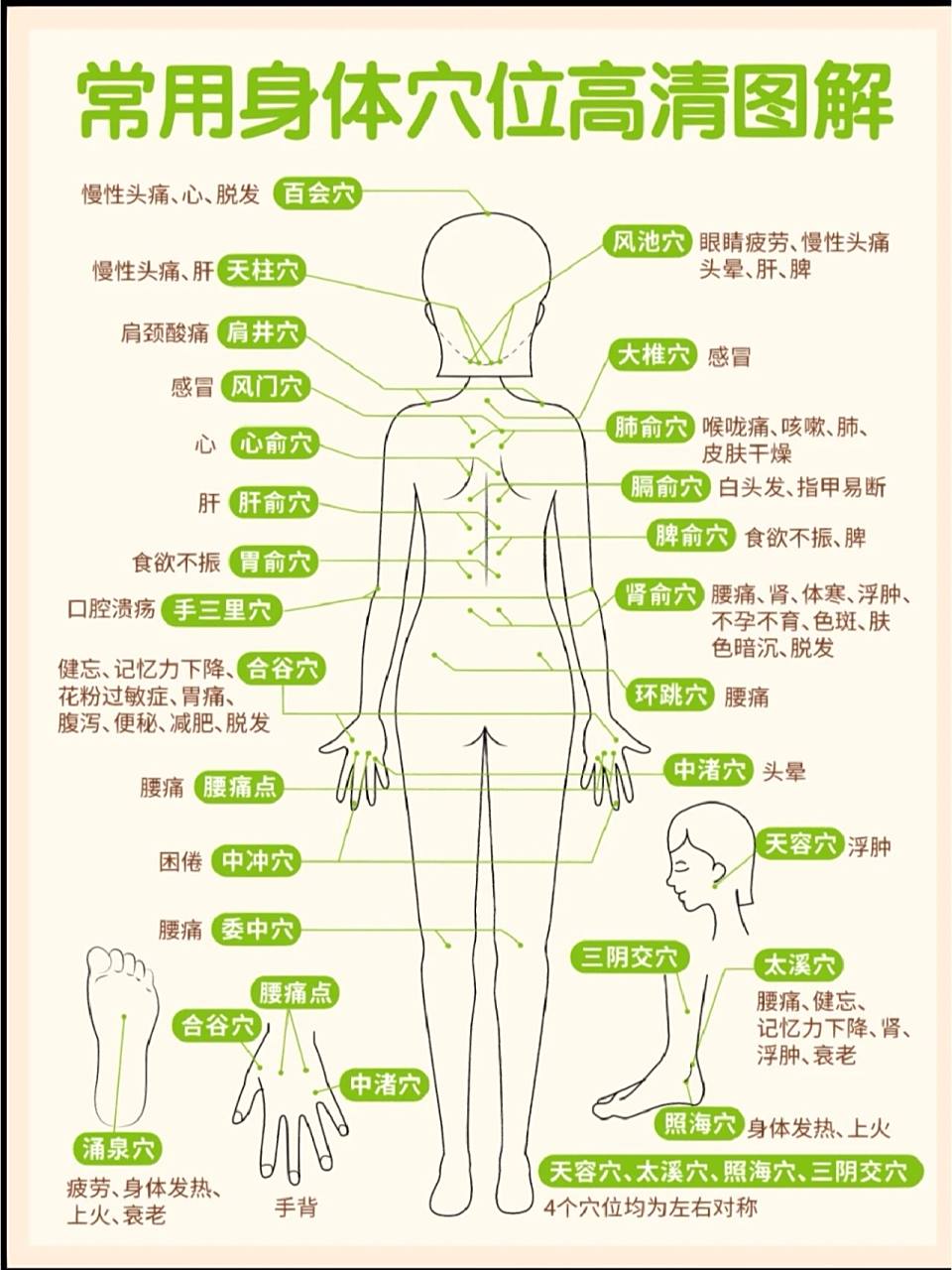 女性常用"养生穴位"图解