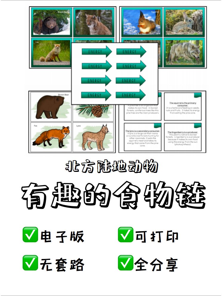 超全陆地动物食物链科普素材包!