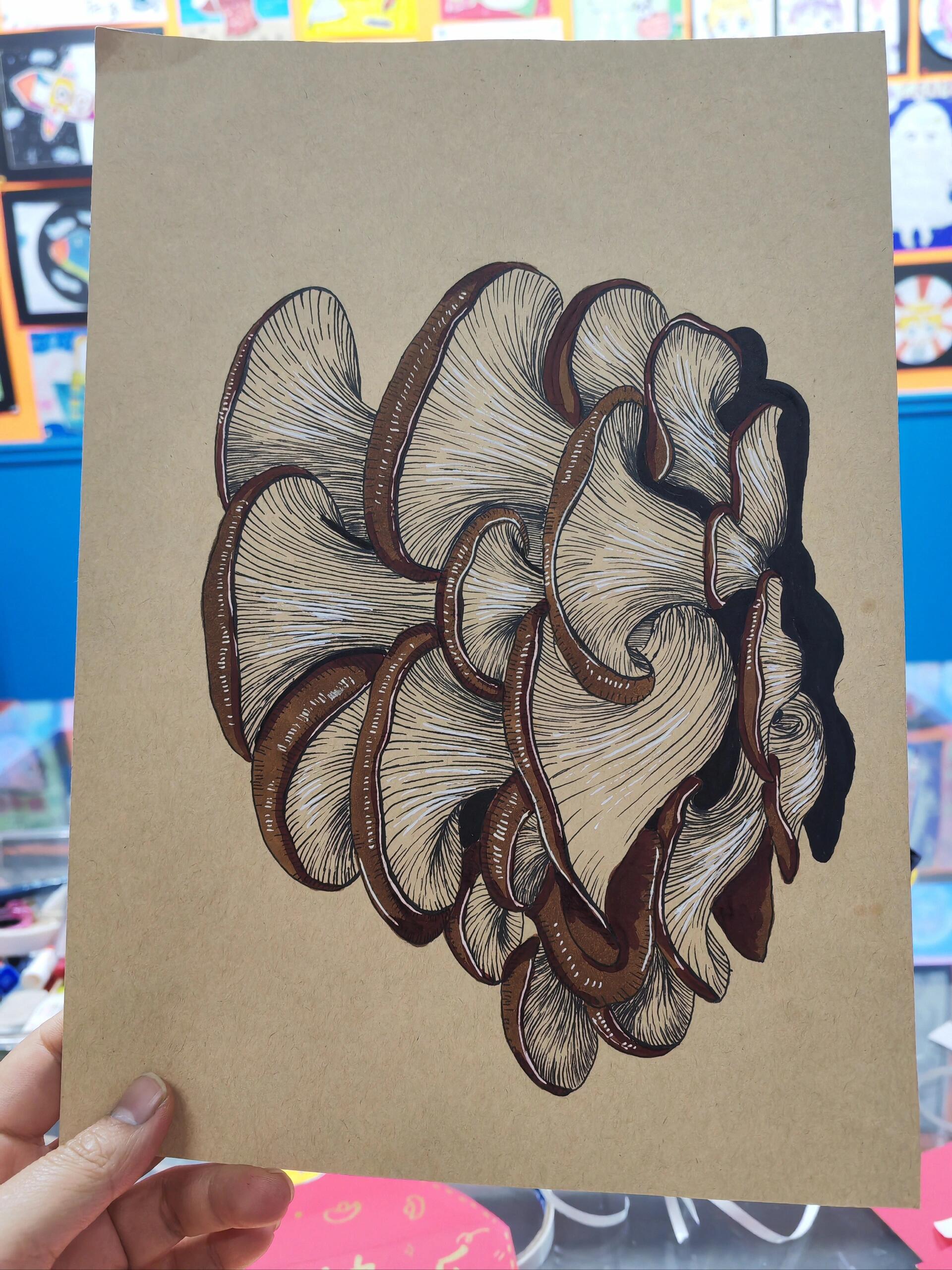 平菇线描写生(素材图左滑)