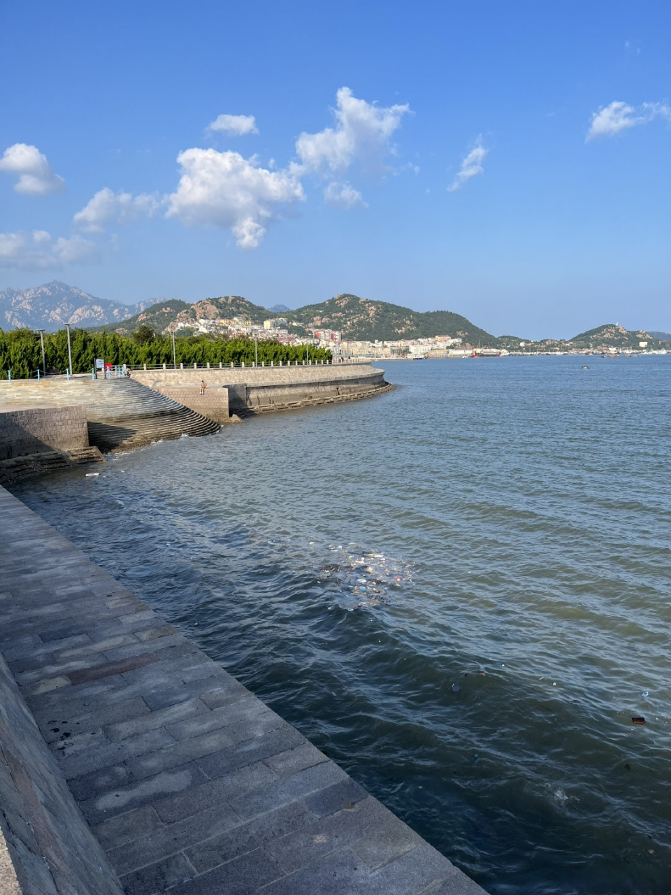 网友爆料:沙子口海滩,垃圾遍地,塑料袋, 塑料瓶 ,甚至还有腐烂的死鱼