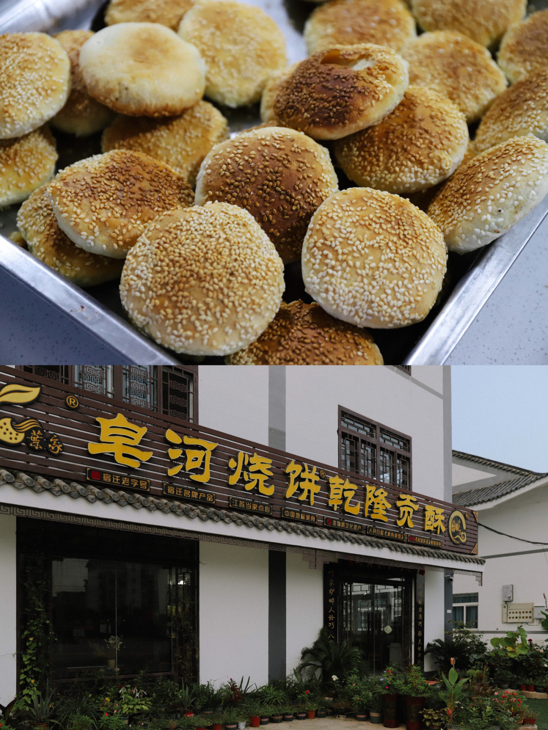 老字号合集 当地人告诉你吃什么 来宿迁旅行以前,一直以为这