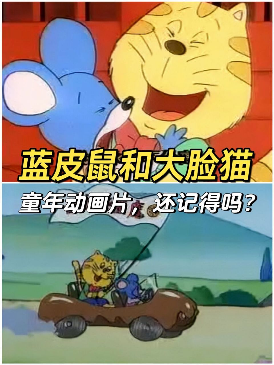 1993年的动画片《蓝皮鼠和大脸猫》 .