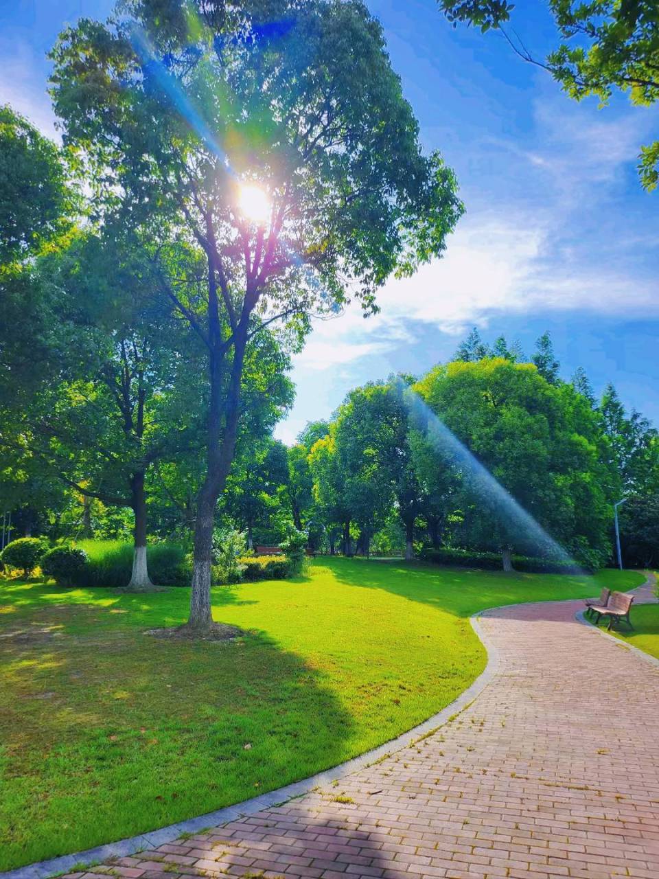 上海免费露营地|南大公园 90宝山区丰收东路388 免费93门票;免费