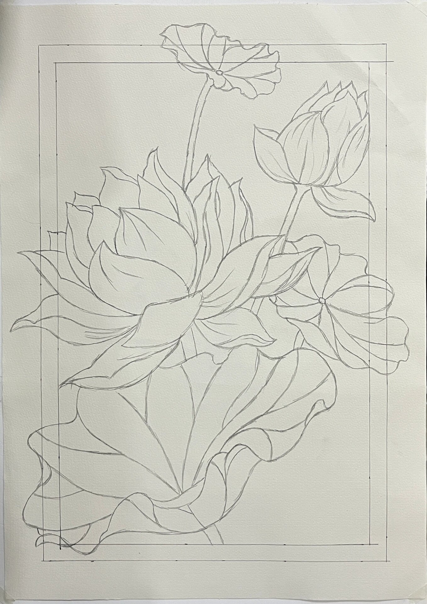 水粉绘画(荷花