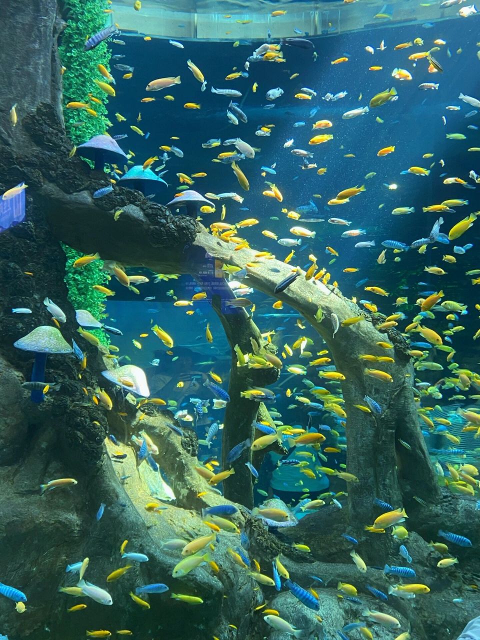 最美海底世界图片