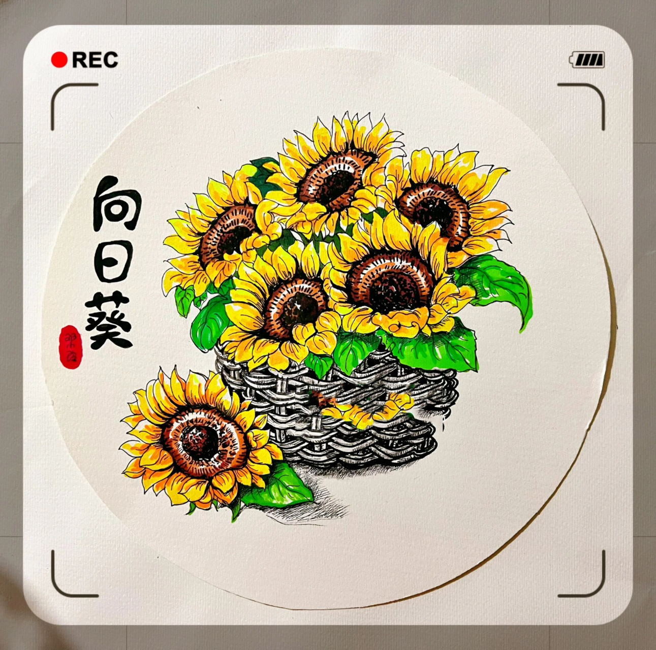 向日葵97线描写生(步骤参考)