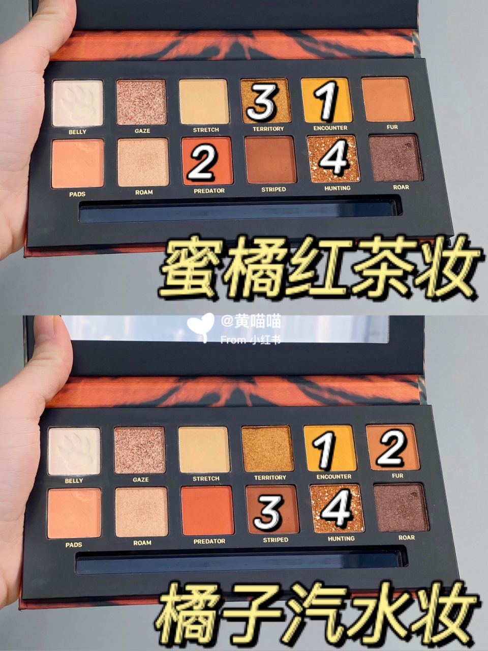 新手干货96完美日记斑虎盘8种绝美眼影画法 集美们～完美日记斑虎盘