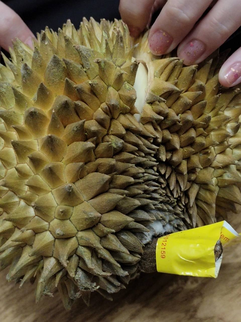 多多买菜迷你榴莲别试 好奇买了多多买菜的迷你榴莲盲盒,实付51.