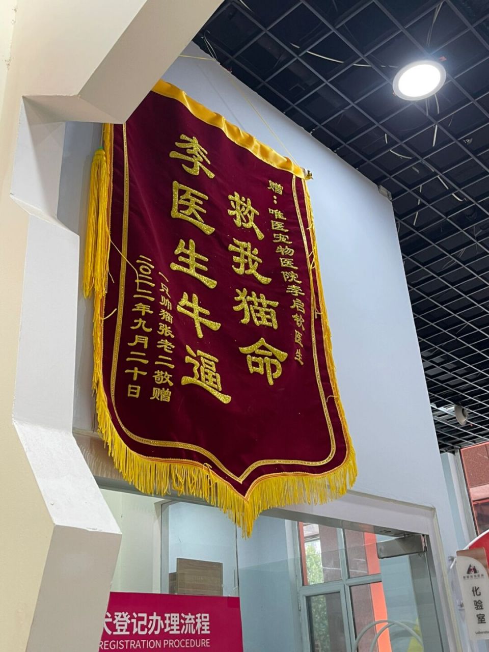 宠物医院的锦旗快笑死我了 #宠物医院# #萌宠成长记