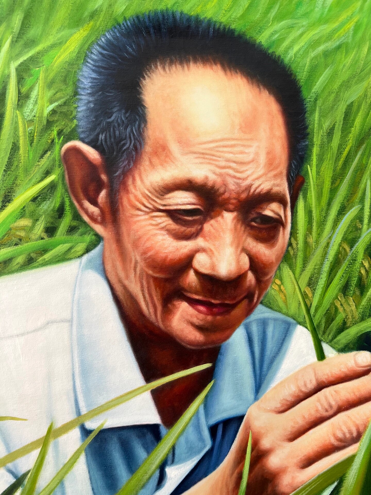 致敬袁隆平爷爷:肖像油画