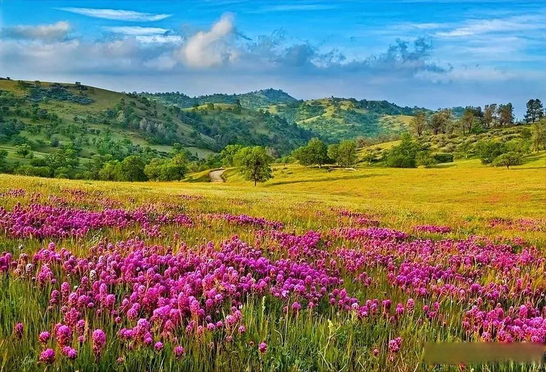 摘录:我找到自己之日,就是失落自己之时.如果我相信,我就必然怀疑.