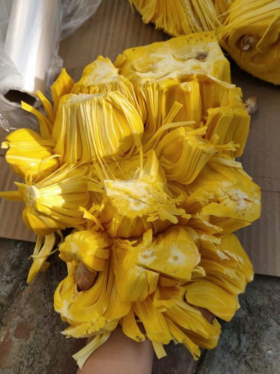 去了海南才知道海南菠萝蜜是有两个品种的:干包和湿包 干包是我们常吃