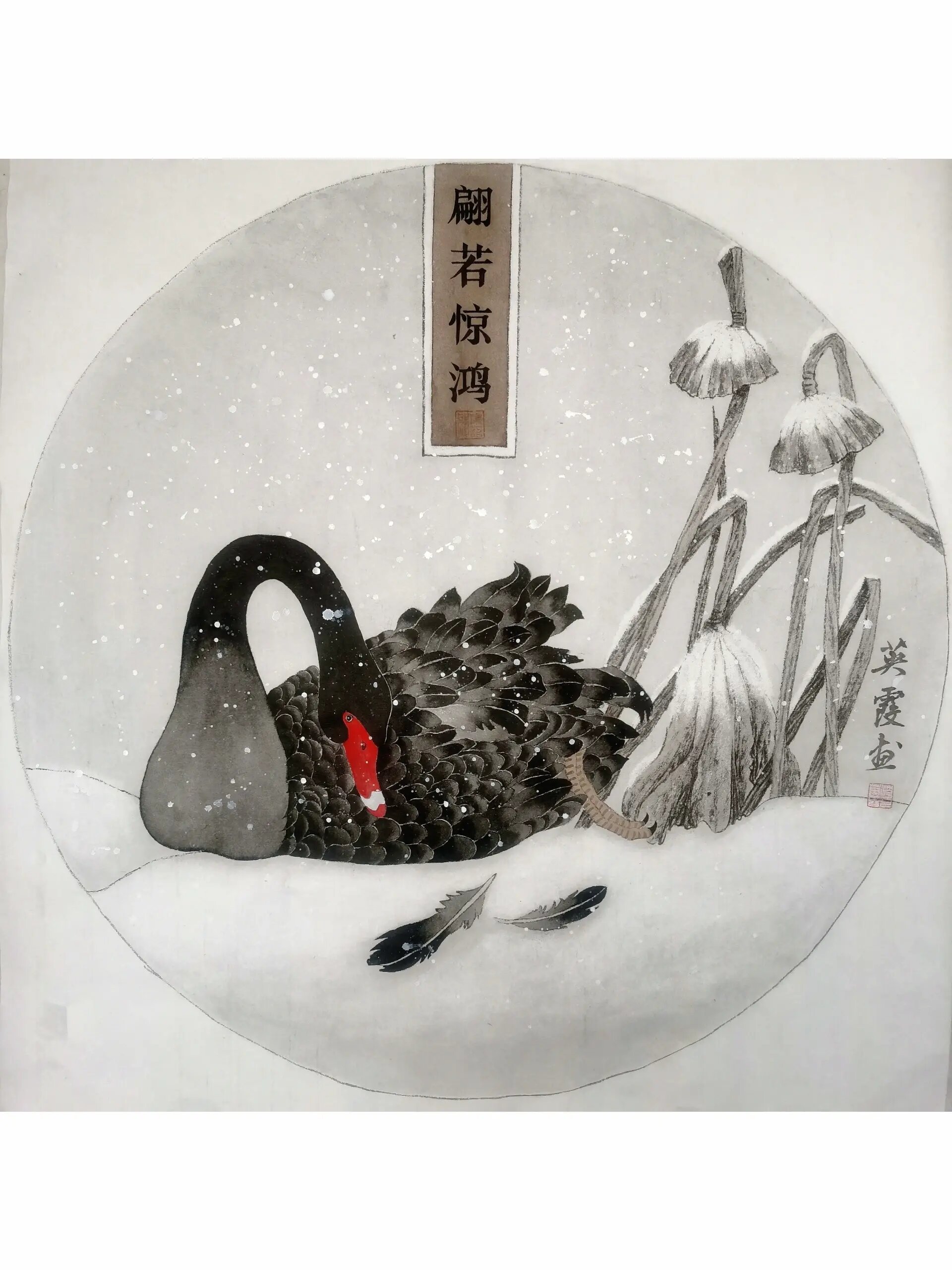 翩若惊鸿黑天鹅新工笔画装饰画国画 96 67 67 素语绘事  67