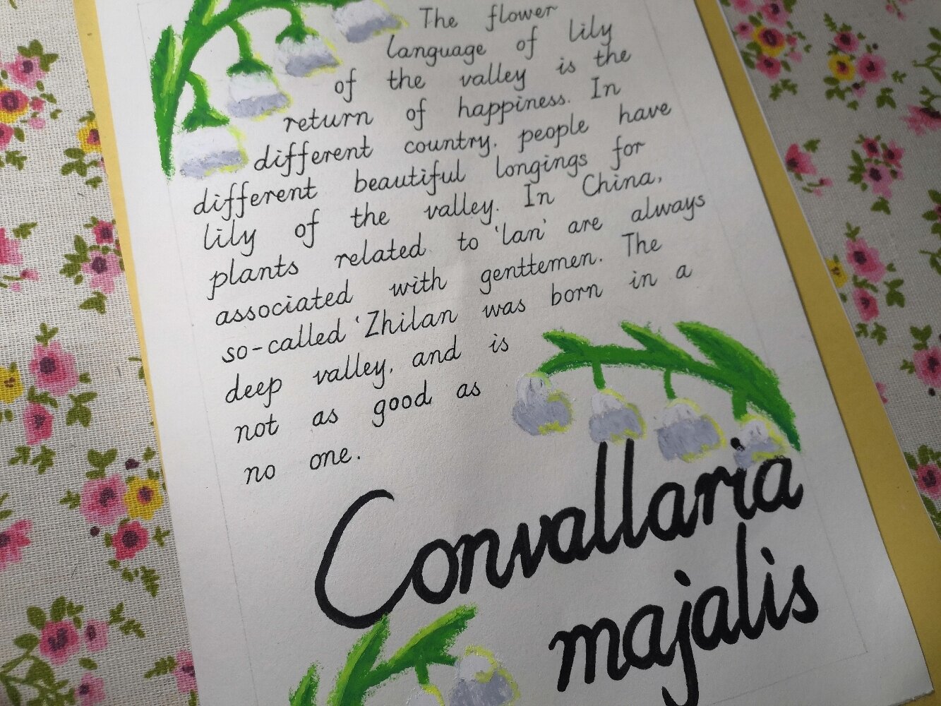 花/ 英语手抄报🌷 突然翻到了之前的手抄报 纪念一下🌷