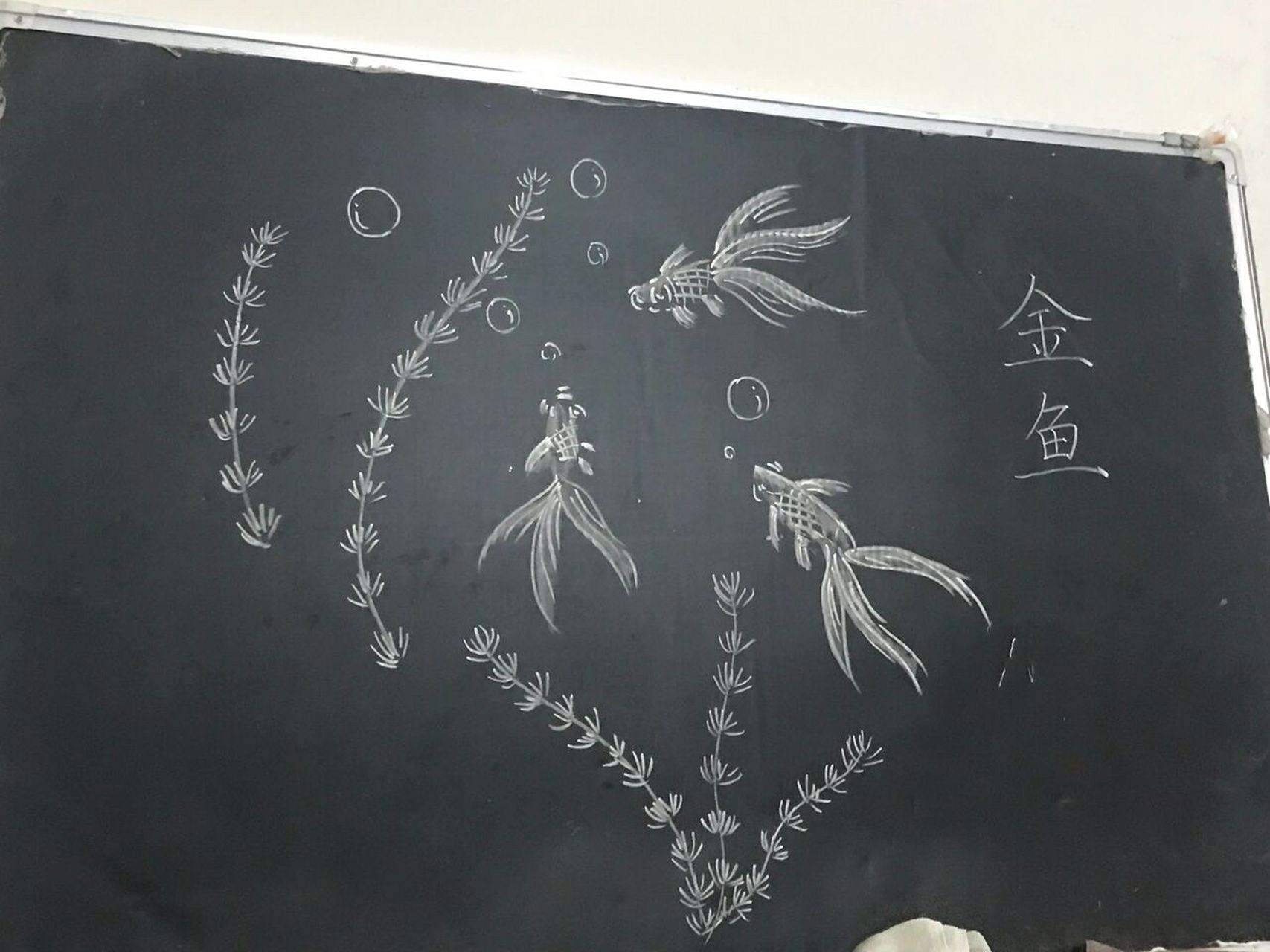 今日份粉笔画练习——金鱼 每次想语文板书都要想很久,希望能设计几个