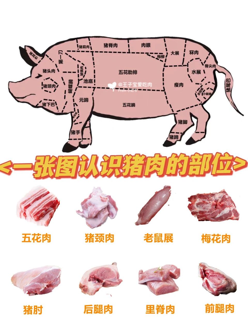 一张图教你认识猪肉各部位99这几种肉最好 很多人问我猪肉怎么选呢