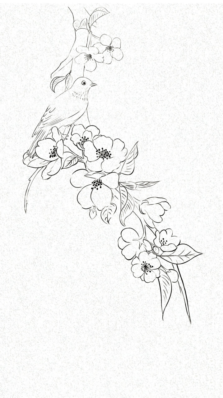 50张花鸟线稿|-5春晓 原创插画 // 禁商用 //禁二改.