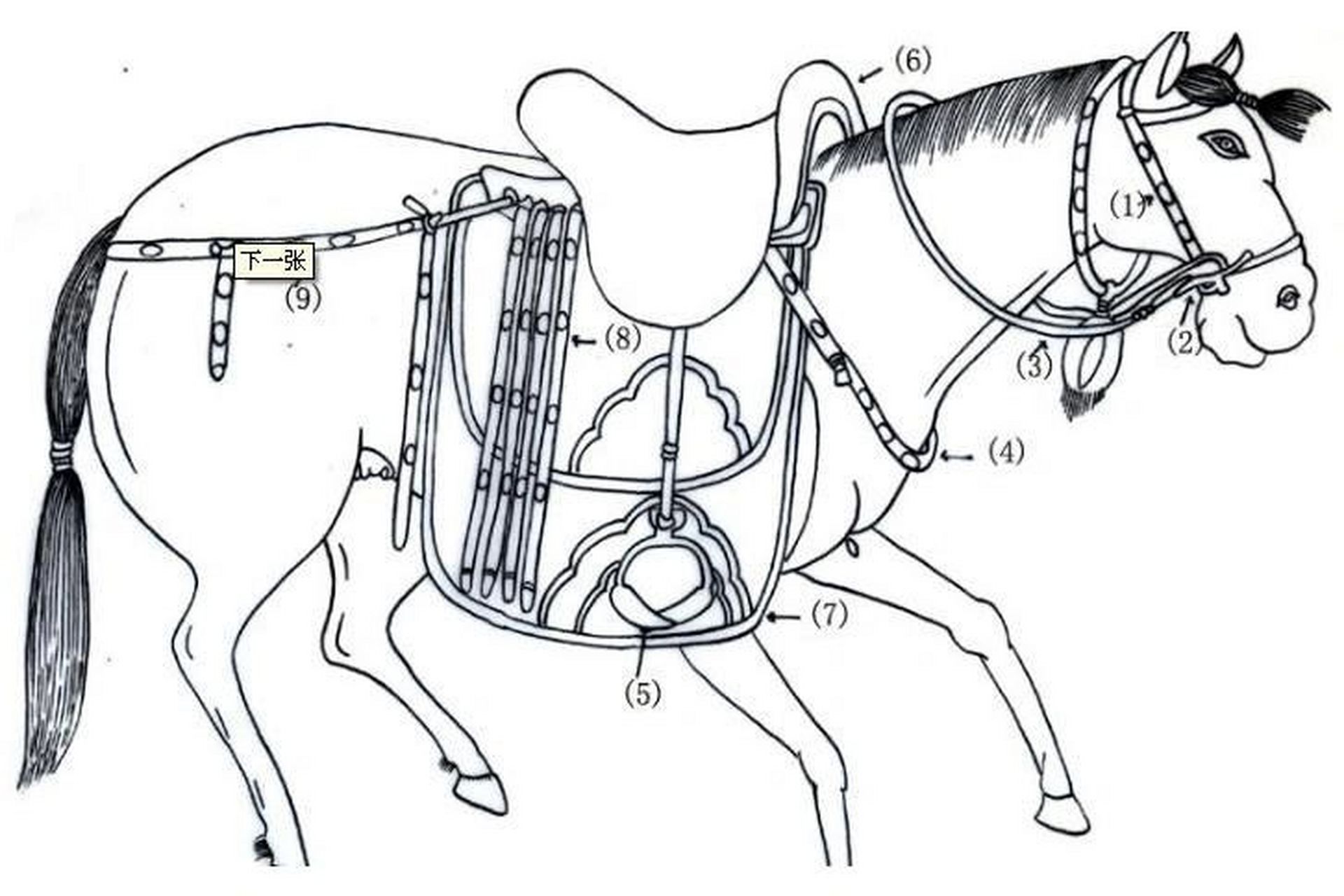 古代马具传送限制图片