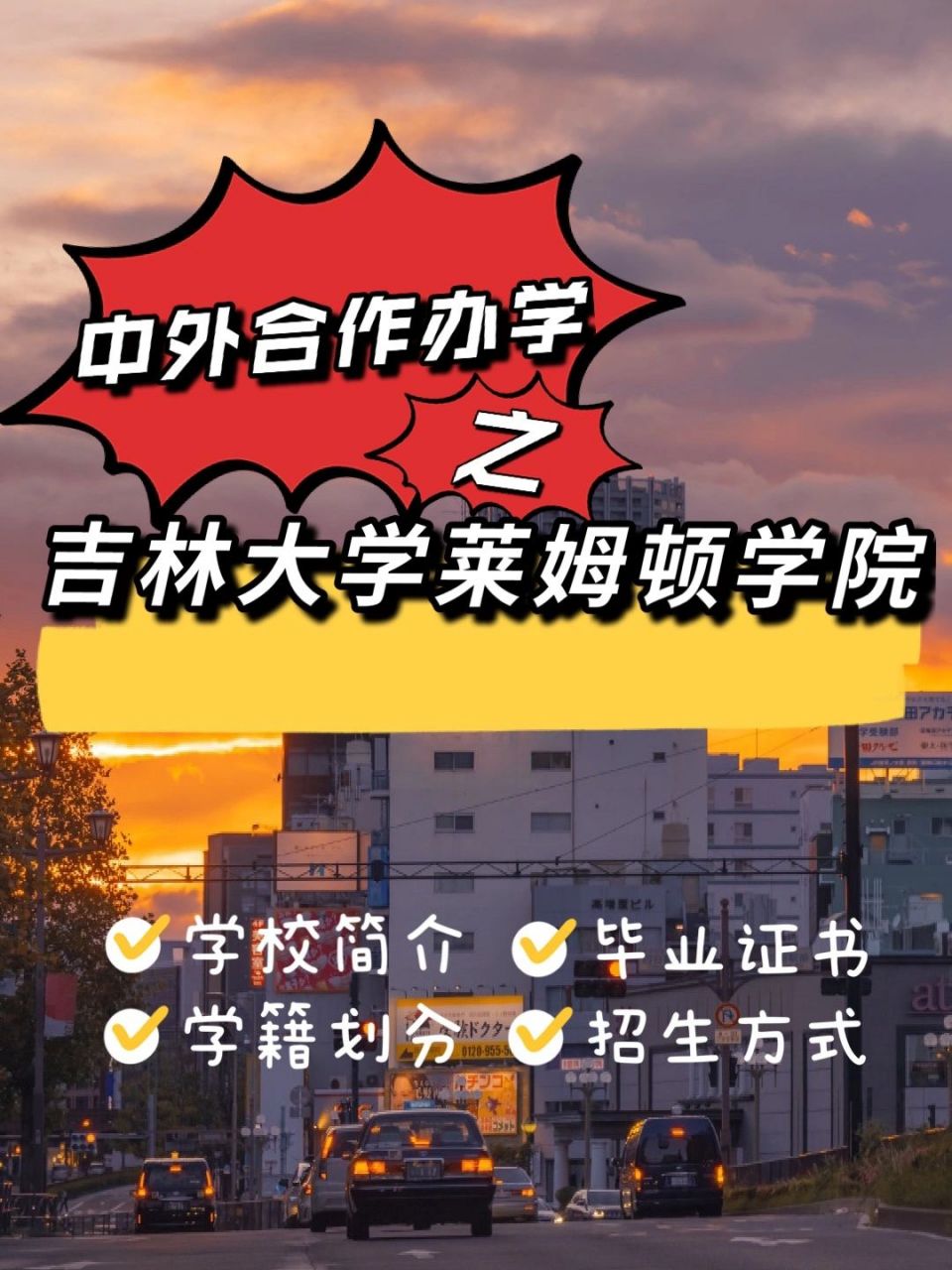 莱姆顿学院图片