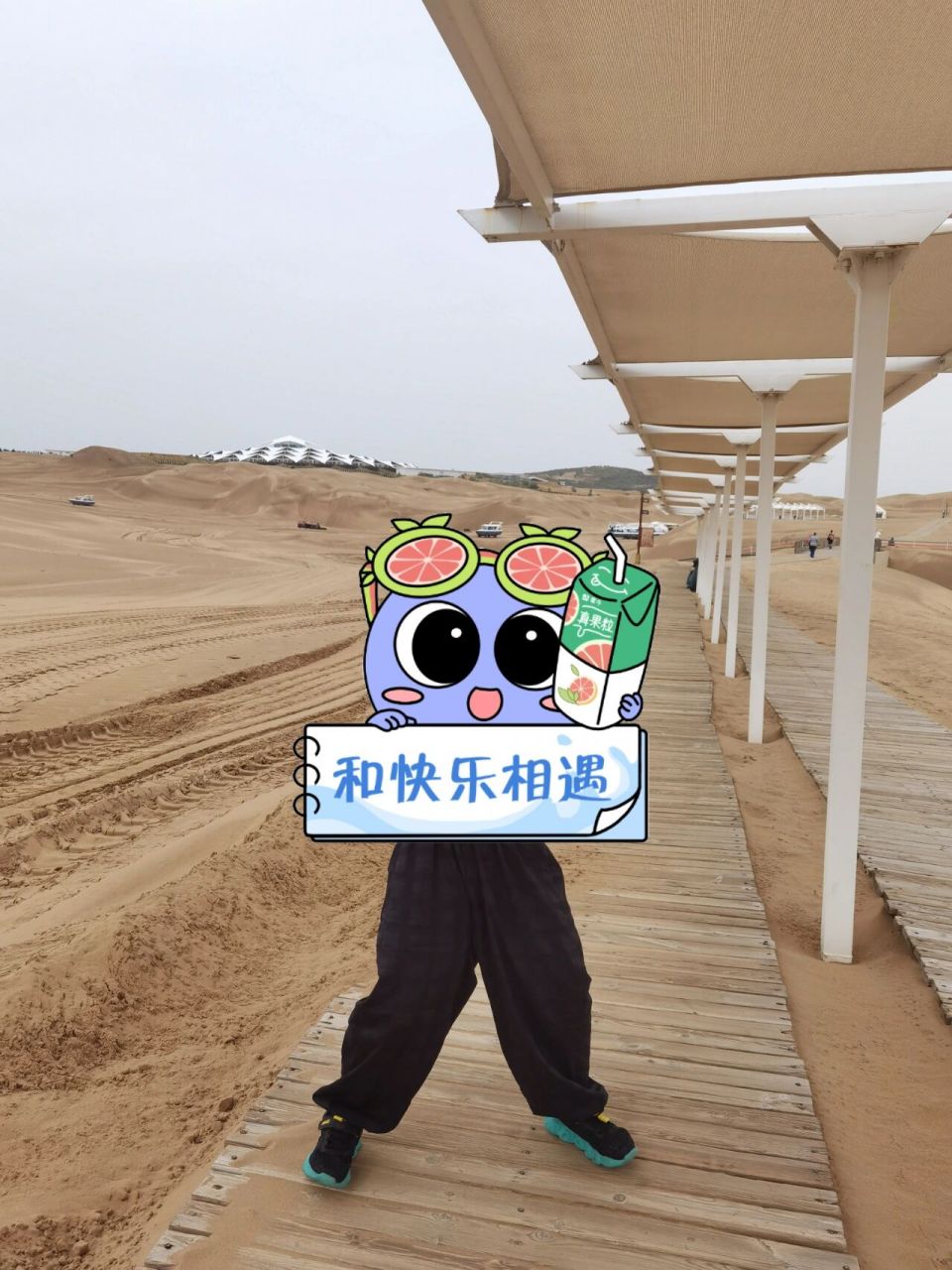 响沙湾一日游 行:响沙湾距离呼和浩特2小时多路程,距离鄂尔多斯1小时.