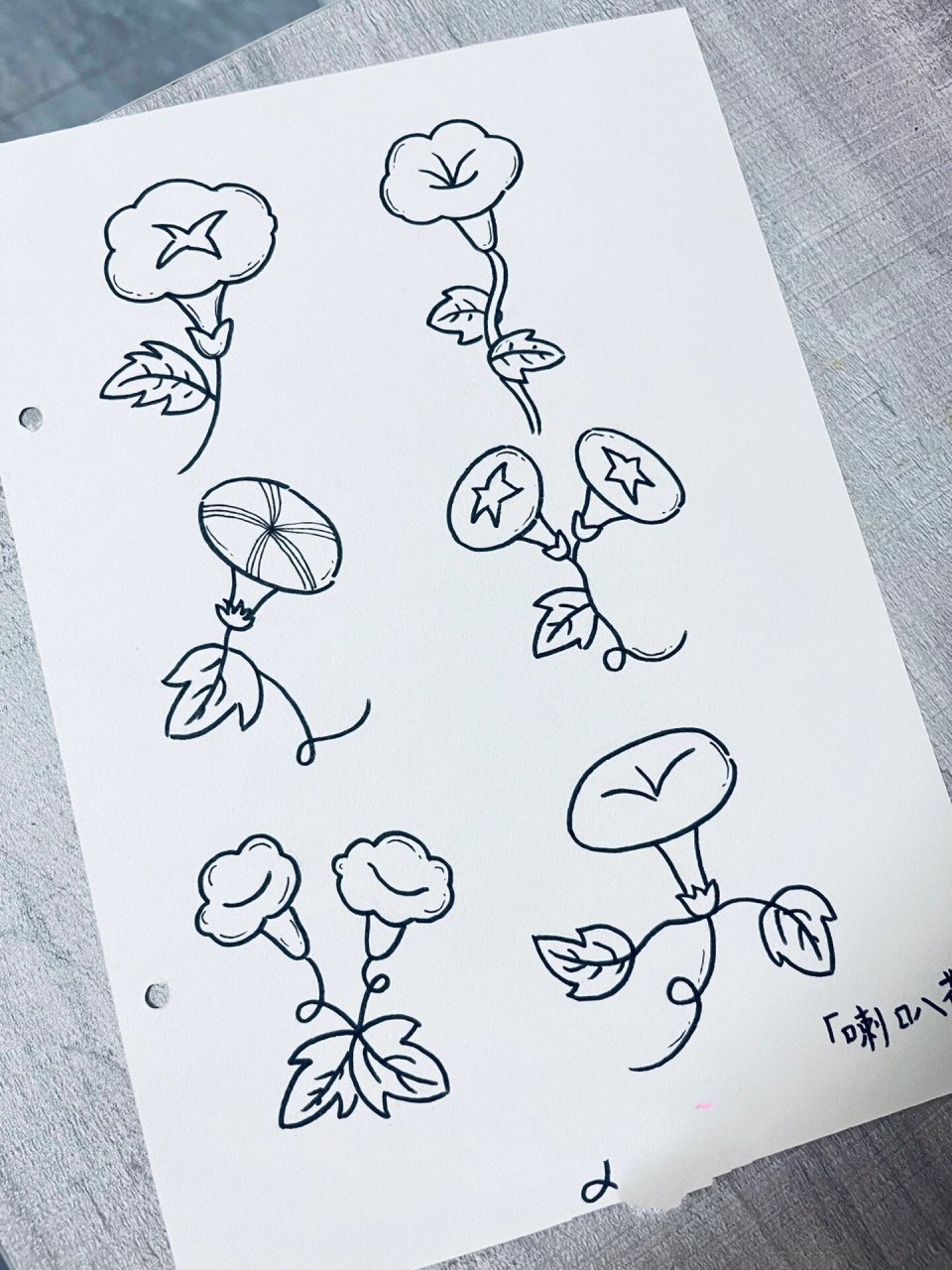 简笔画「牵牛花」喇叭花9595