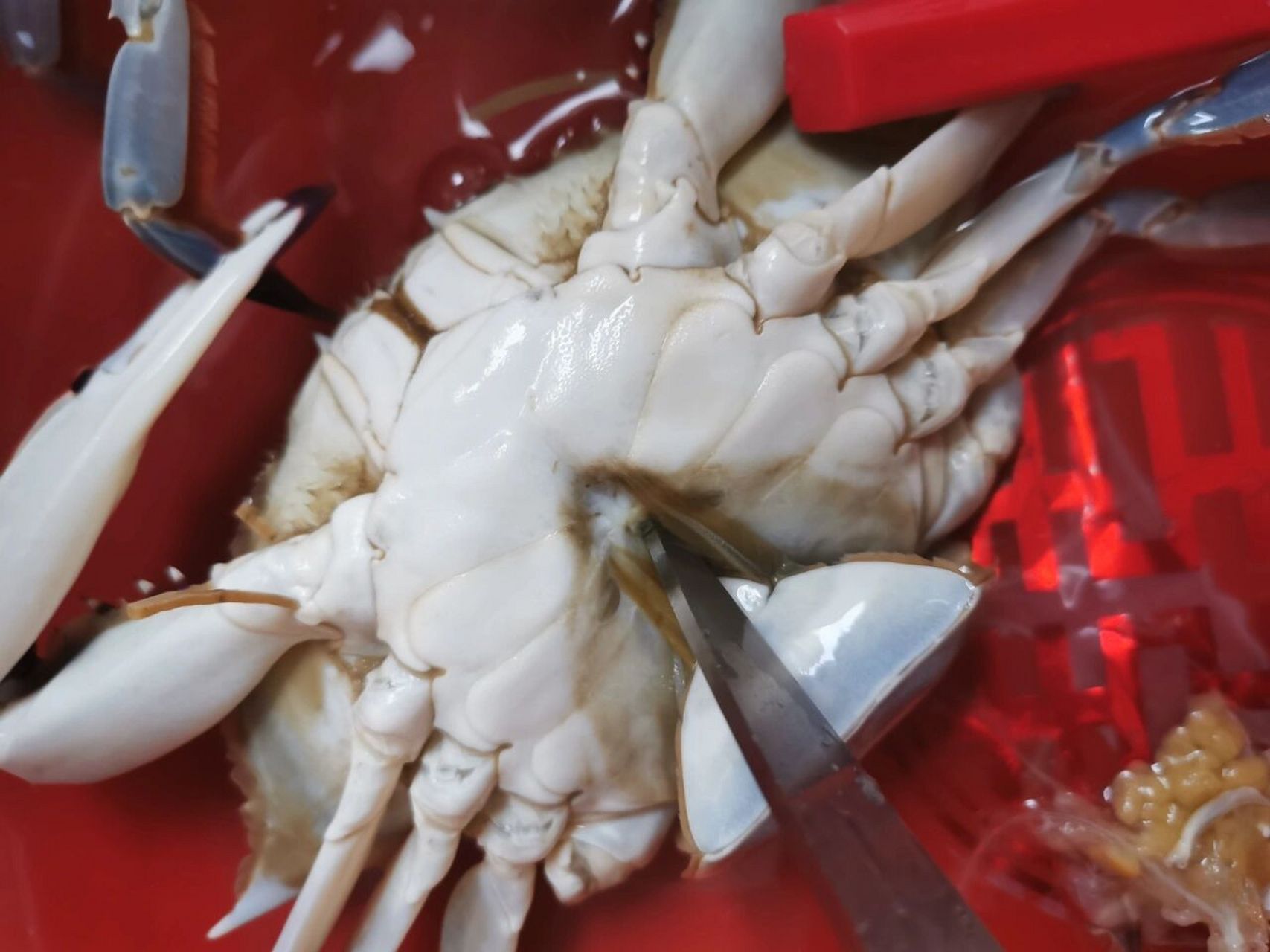 第一次杀梭子蟹 今天想吃炒梭子蟹,买的时候我就和老公争论.