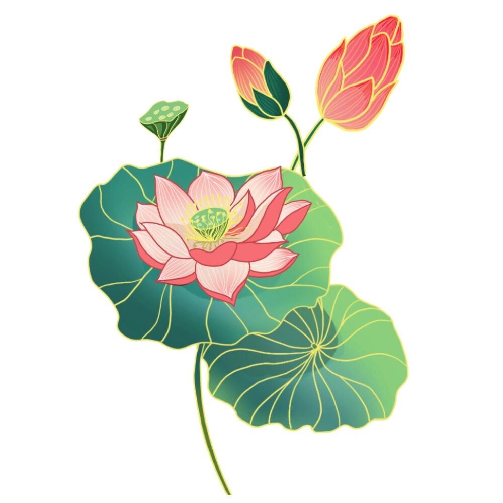 免抠元素 | 绝美荷花素材(18