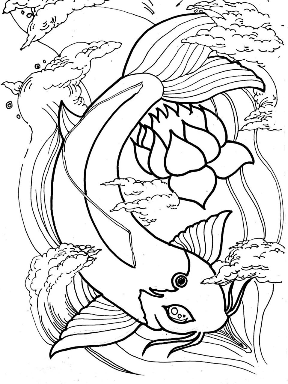 黑白线描95|锦鲤 儿童成人均可绘画 步骤在图二图三 材料|笔73