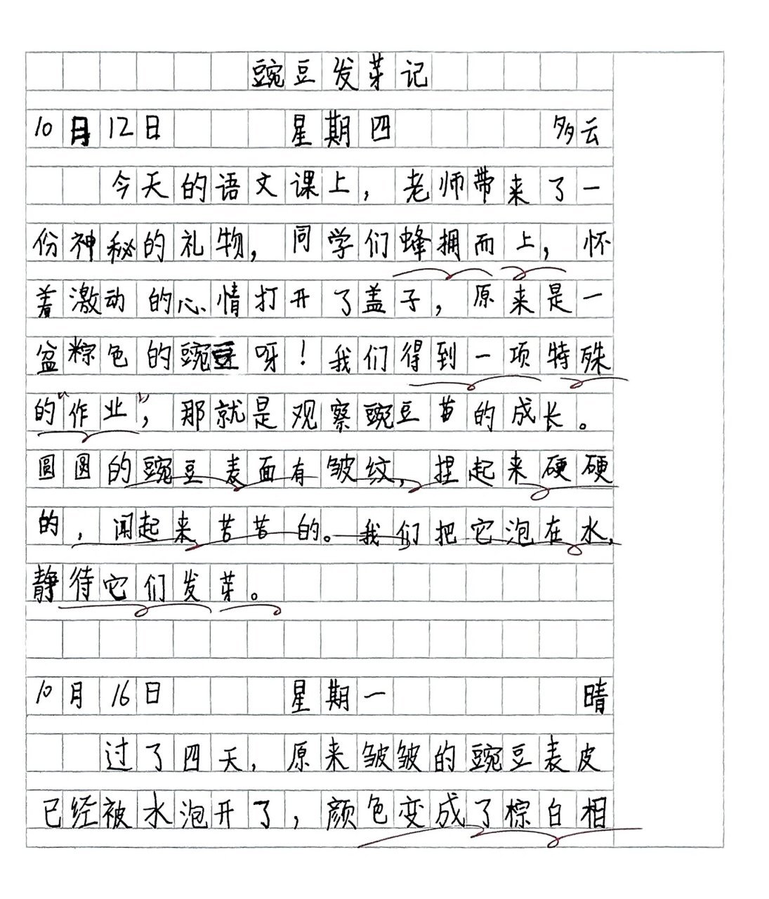 观察日记四年级作文400字优秀篇(观察日记四年级作文400字优秀篇怎么写)