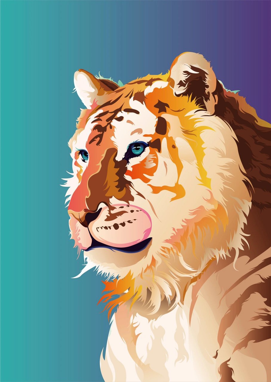 濒危动物矢量插画01|金虎 金虎,是孟加拉虎金黄色变种.