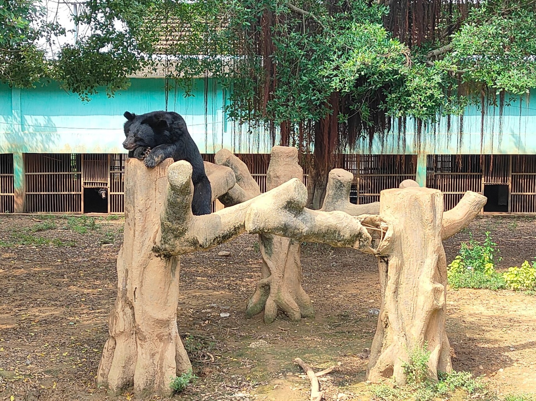 雄森动物大世界图片