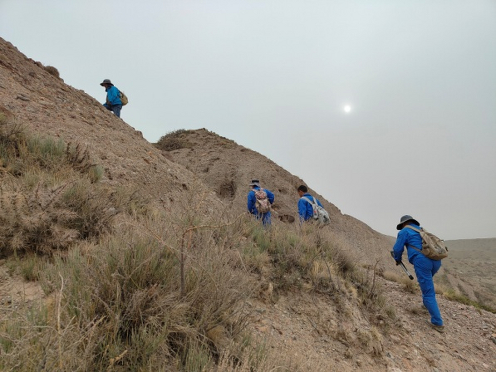 【野外地质调查,启动!