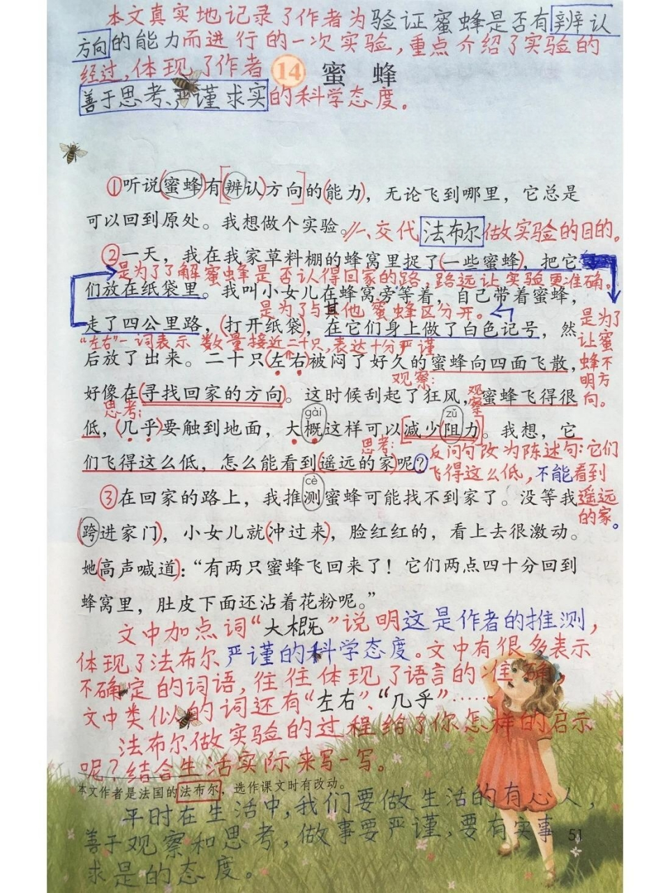 蜜蜂》笔记    93