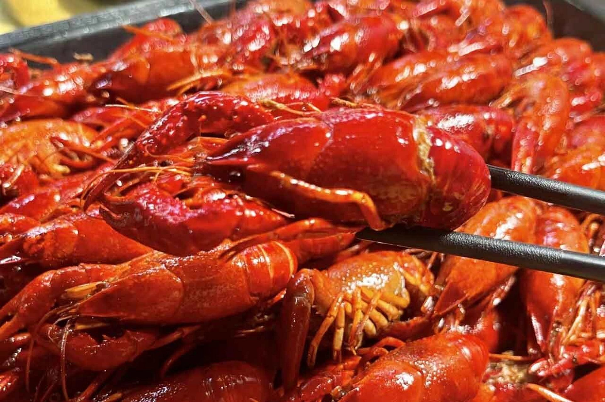 8890 湛江蠔庄 5斤小龙虾套餐 茶位4位 【西樵|湛江蠔庄】88元享