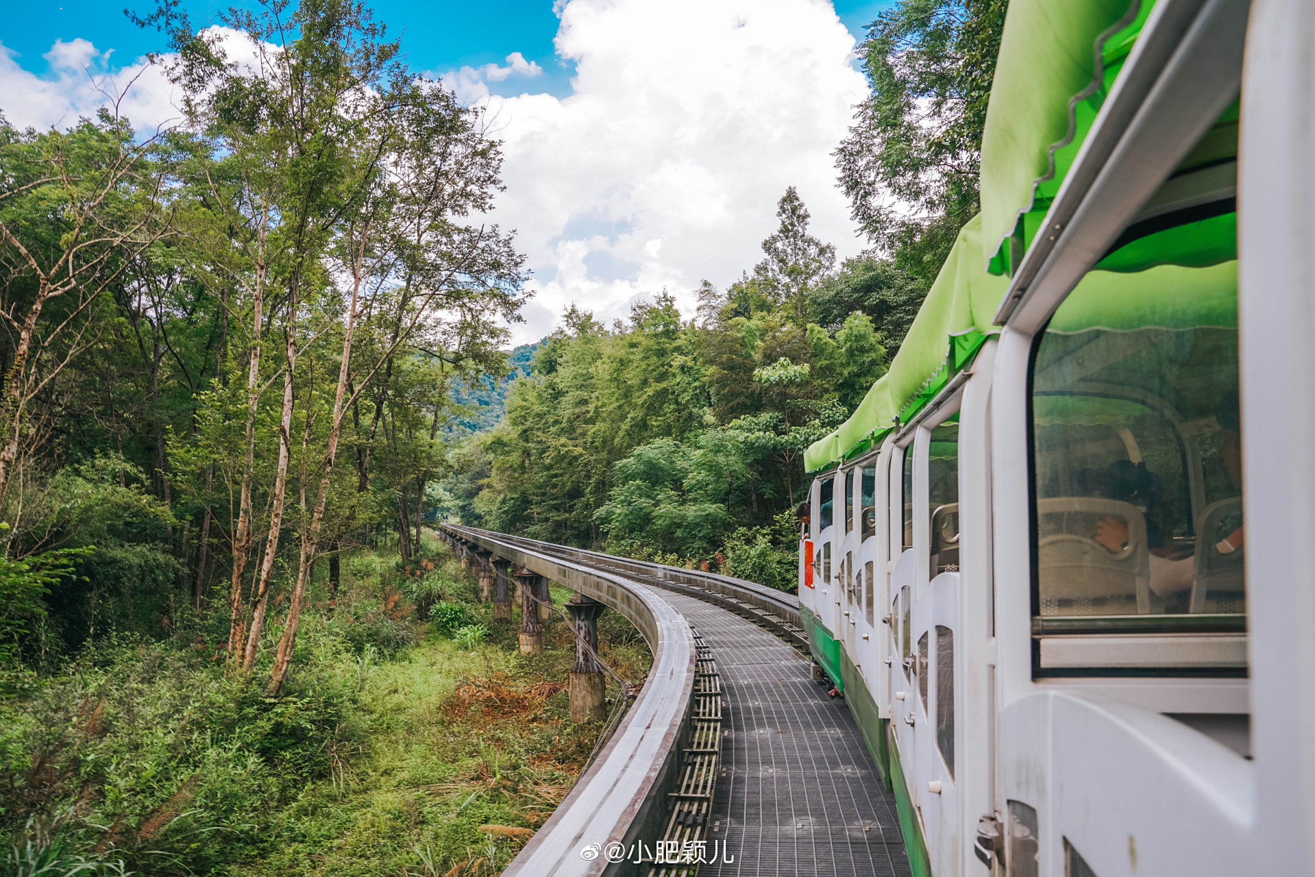 在江西宜春三爪仑森林公园游山玩水  溯溪而上,坐着溪上小火车感受