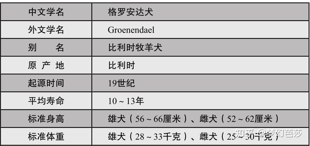 格罗安达犬给人的印象是结实灵活肌肉发达