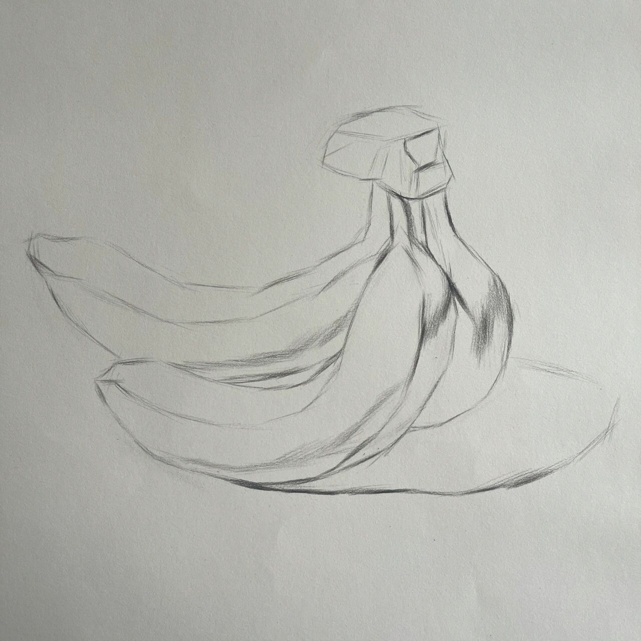 静物素描-香蕉-步骤分享9496