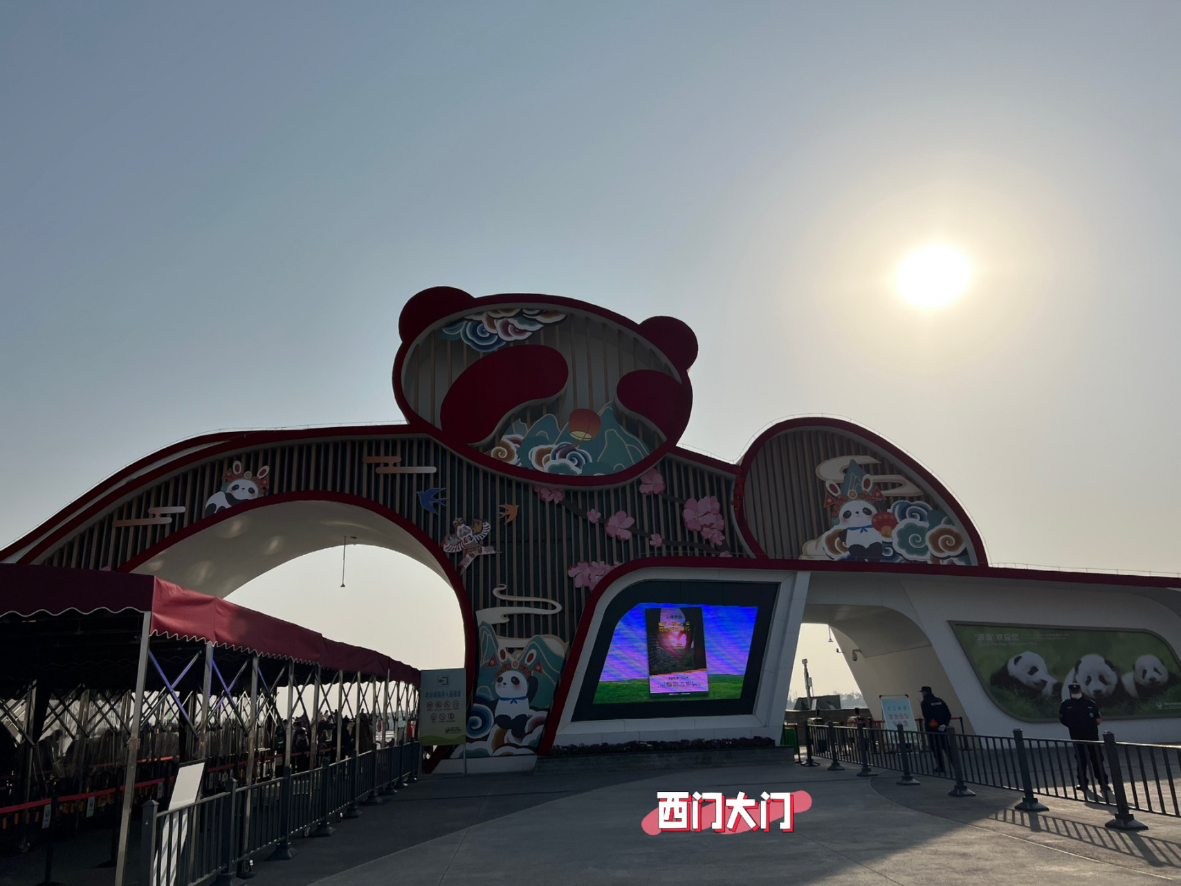 1月28日成都大熊猫繁育基地保姆级没人攻略 西门进!西门进!西门进!