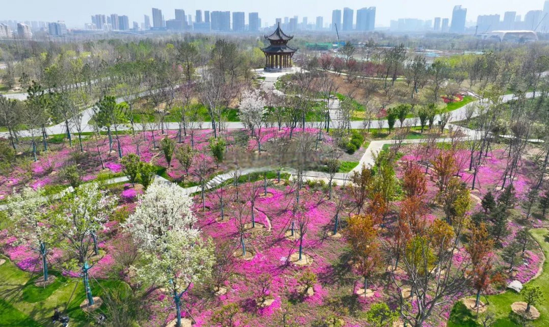 駱崗中央公園越來越美了,園博園將於今年9月開園.